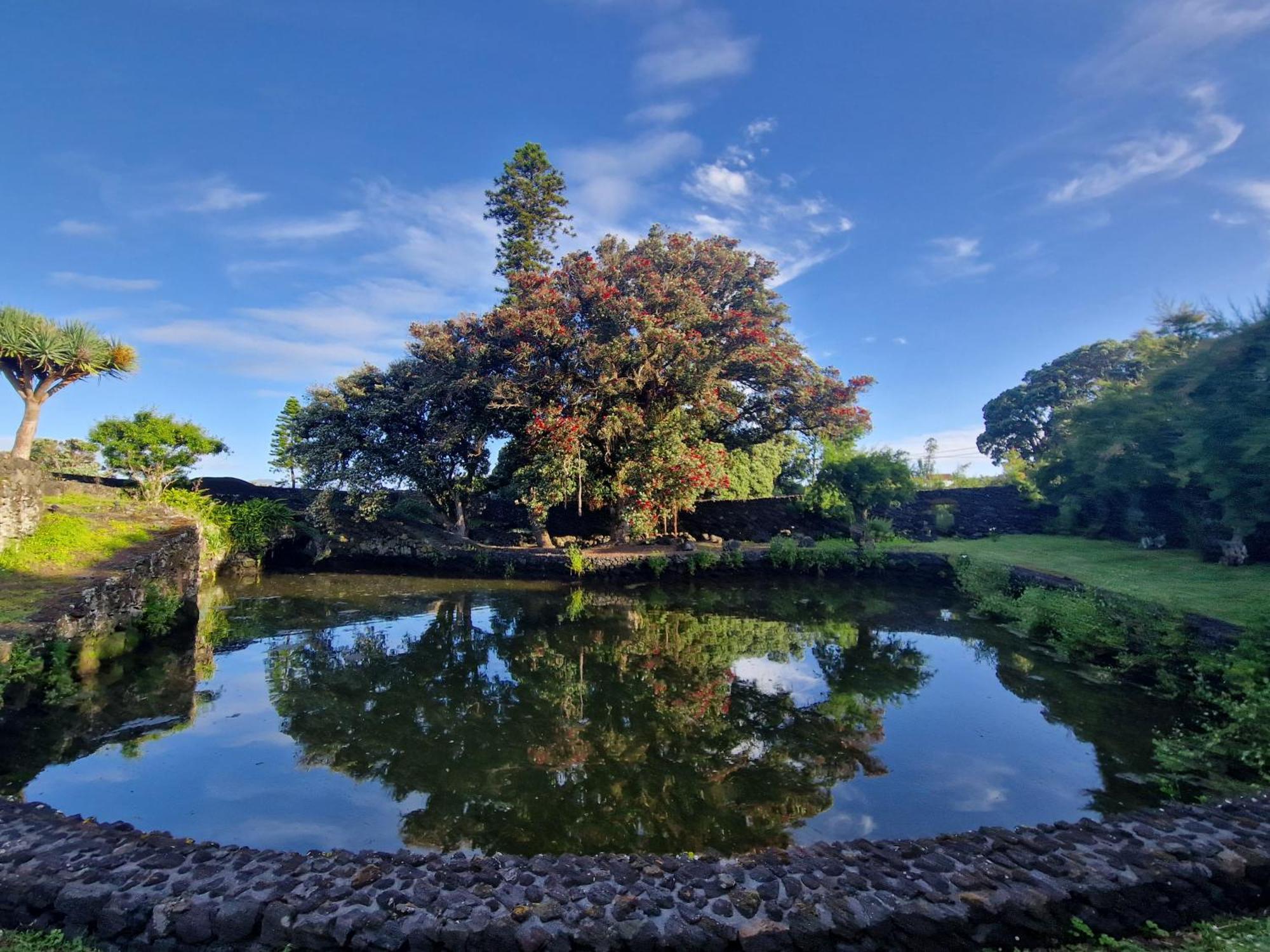 Solar Dos Limas Villa Criacao Velha Exteriör bild