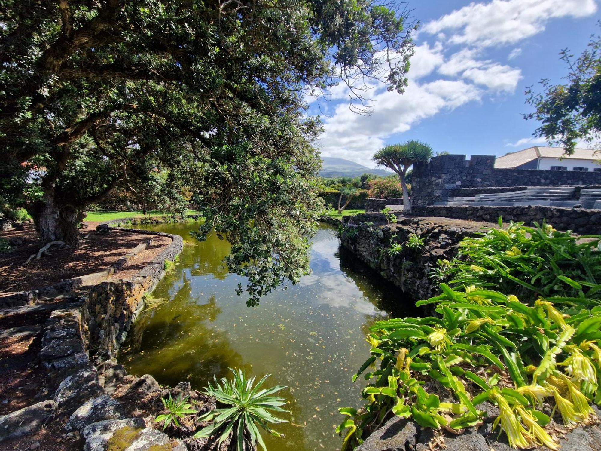 Solar Dos Limas Villa Criacao Velha Exteriör bild
